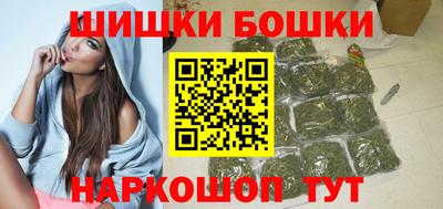 МДПВ Камышлов