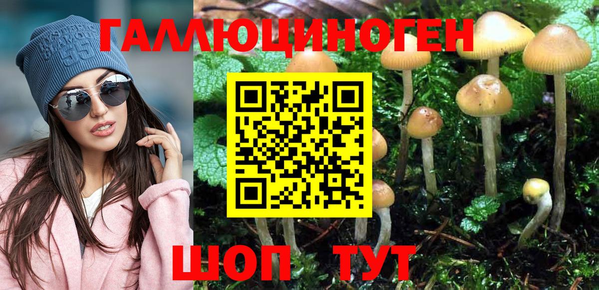 Галлюциногенные грибы мухоморы Краснознаменск