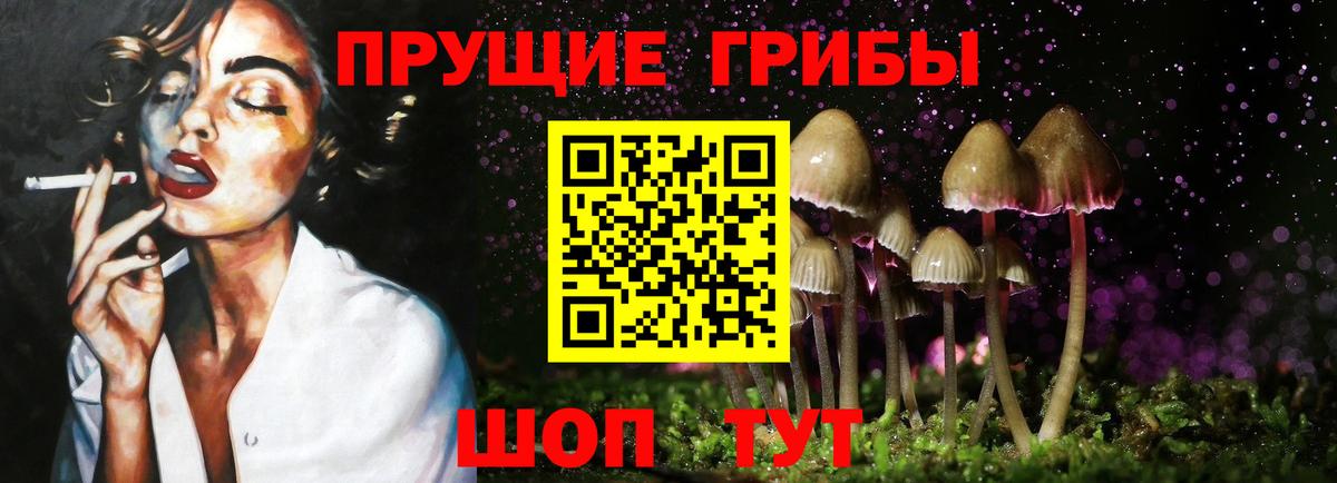 Галлюциногенные грибы мухоморы  Вход с VPN  наркошоп  Краснознаменск 